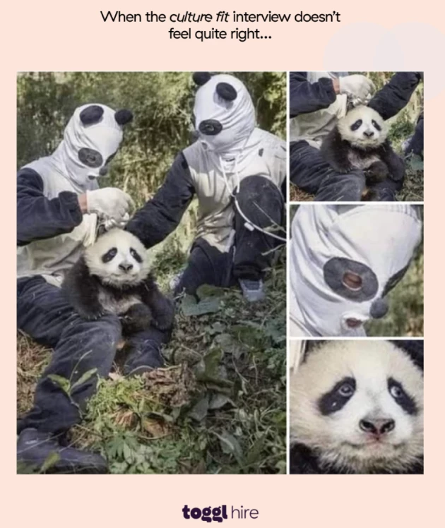 hr meme about culture interviews