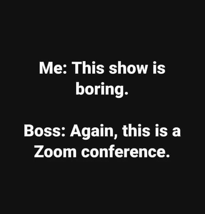zoom call HR meme