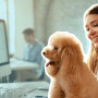 Pets in the Office: Why and How to Implement